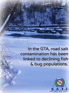 Toronto salt problem