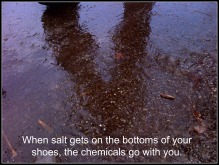 Salt on your shoes tracks the chemicals with your steps.